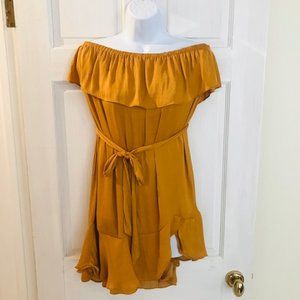 NWOT Naked Zebra Off-the-Shoulder Mini